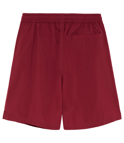 Beachfront Swim Shorts